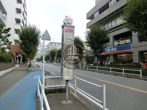 大通り