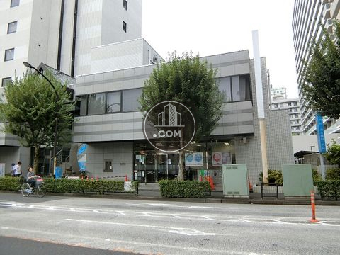 大通り