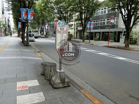 大通り