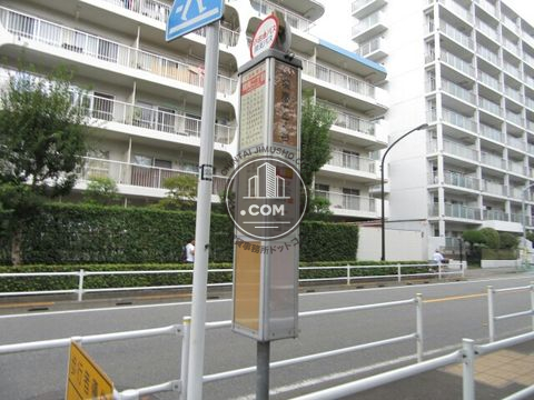 大通り