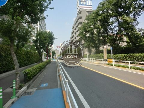 大通り
