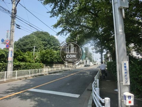 大通り