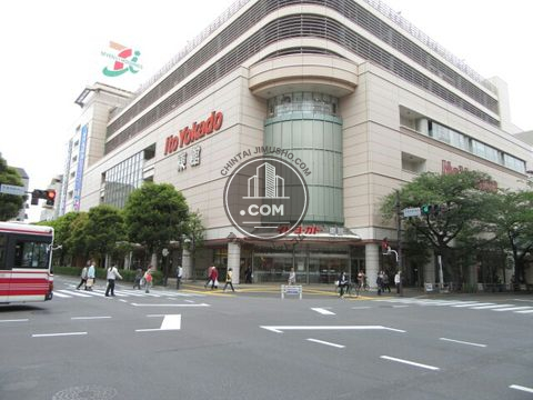 大通り
