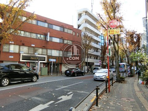 大通り