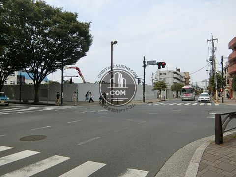 大通り