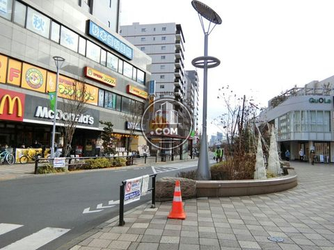 大通り