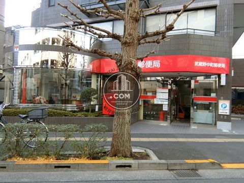 大通り