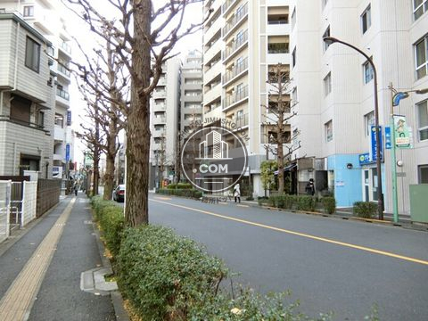 大通り
