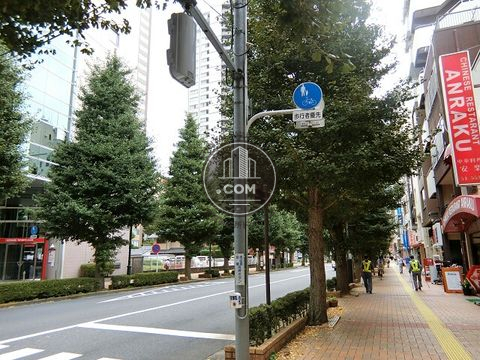 大通り
