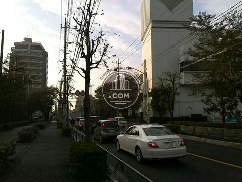 大通り