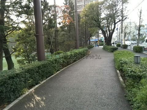 横河グラウンド前の遊歩道