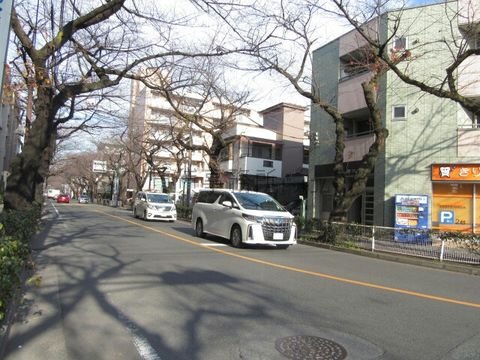 中央通り