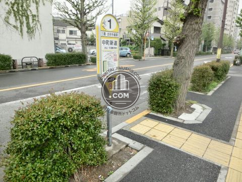 大通り