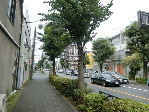 大通り