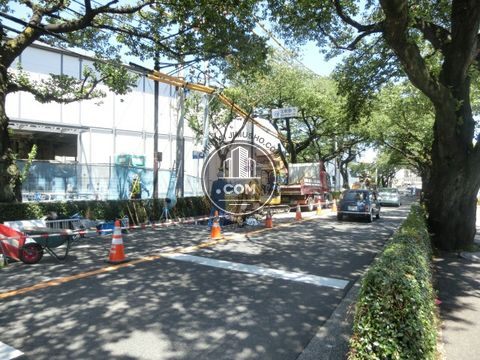 大通り