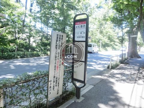 大通り