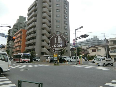 大通り