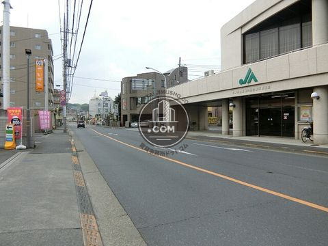 大通り