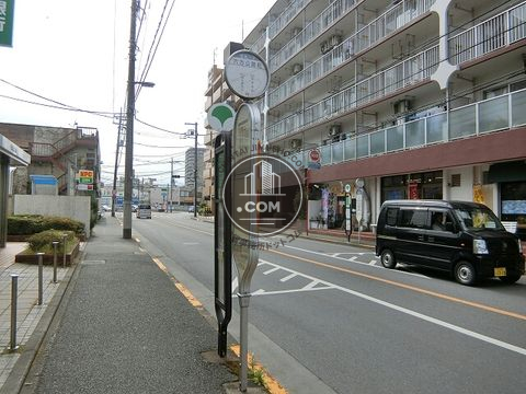 大通り