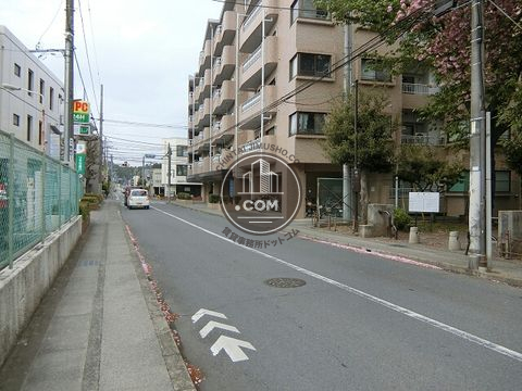 大通り