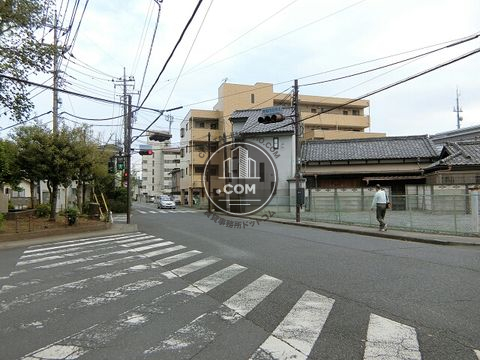 大通り