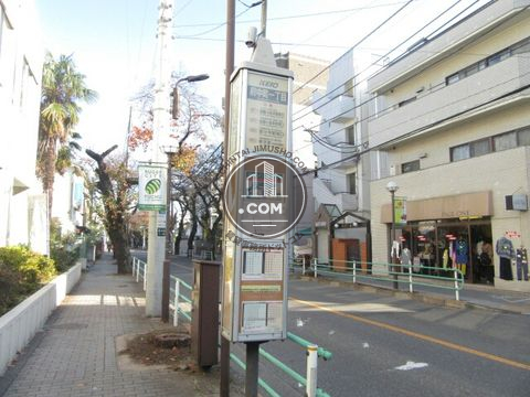 大通り