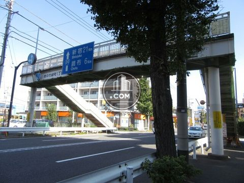 大通り