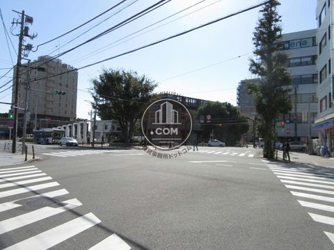 大通り