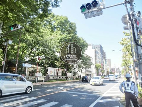 大通り