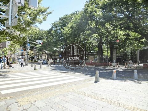 大通り