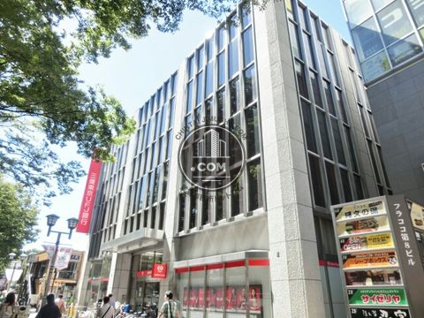 大通り