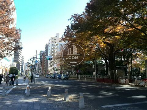 大通り