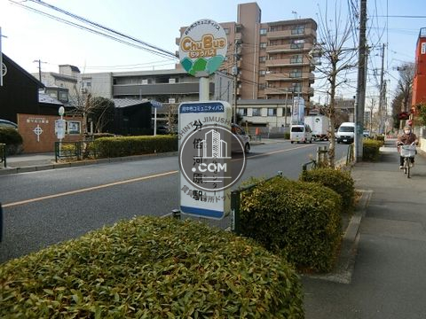 大通り