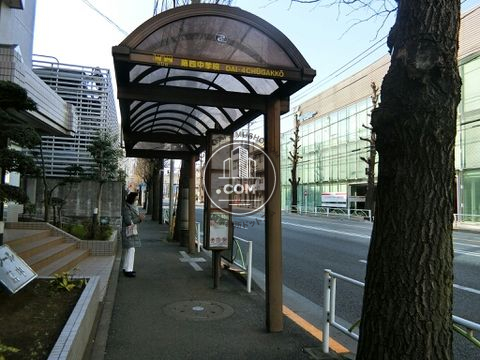 大通り