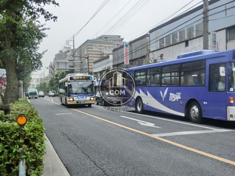 大通り
