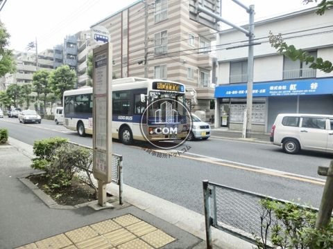 大通り