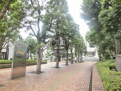大通り