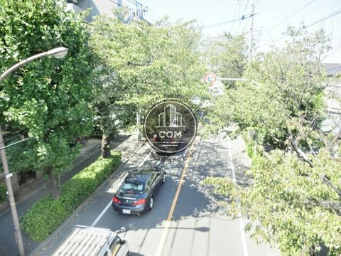 大通り