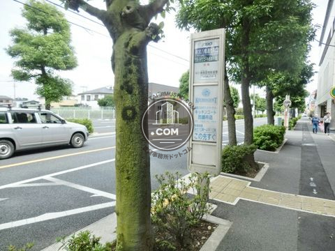 大通り