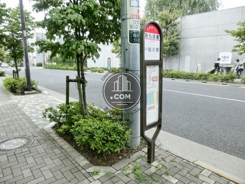 大通り