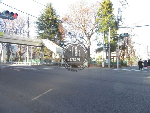 大通り