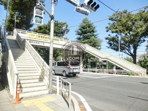 大通り