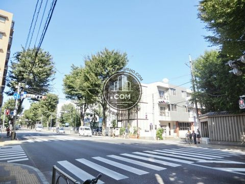 大通り