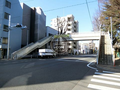 大通り