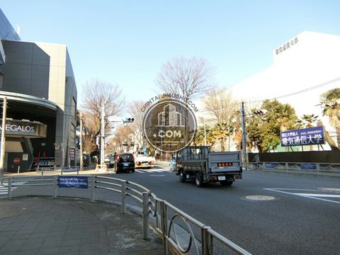 大通り