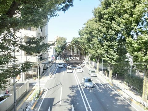 大通り