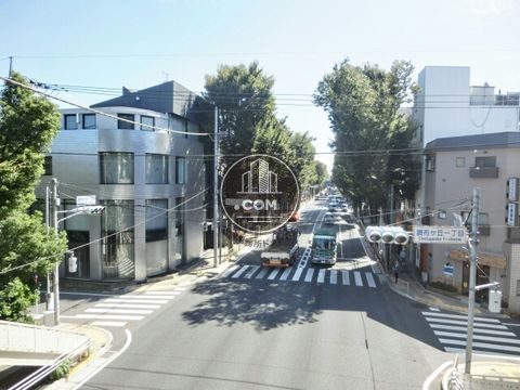 大通り