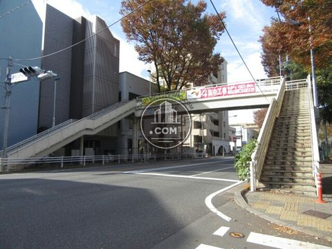 大通り