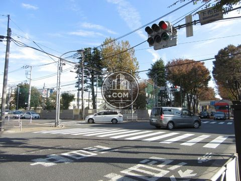 大通り