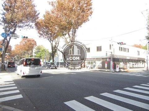 大通り
